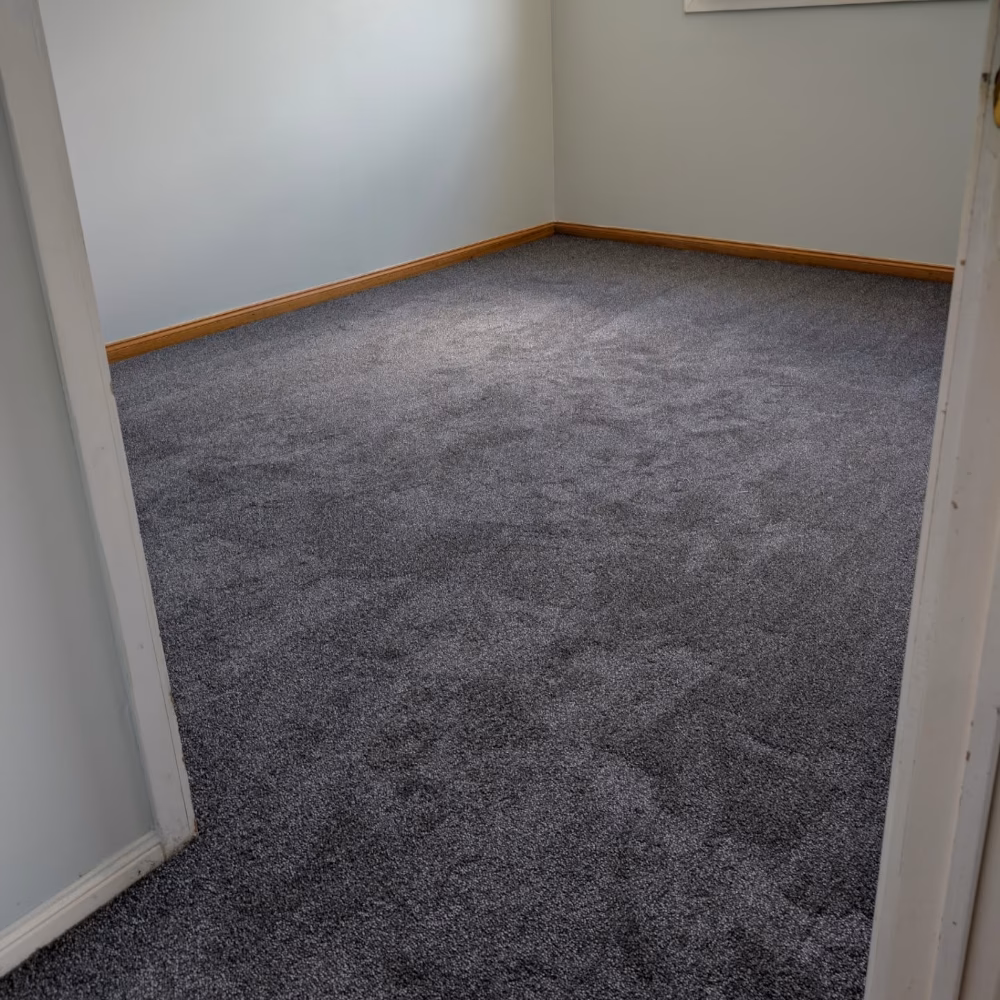 Cozy bedroom with premium carpet installation creating comfortable and warm living space
